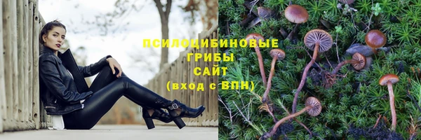 apvp Зеленокумск