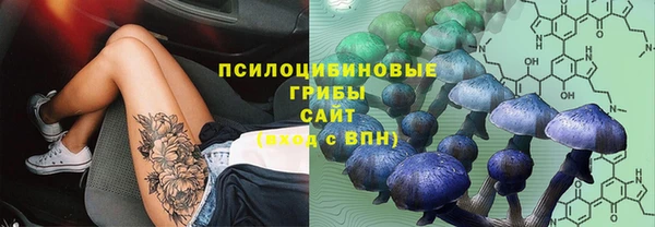 MDMA Premium VHQ Зеленодольск